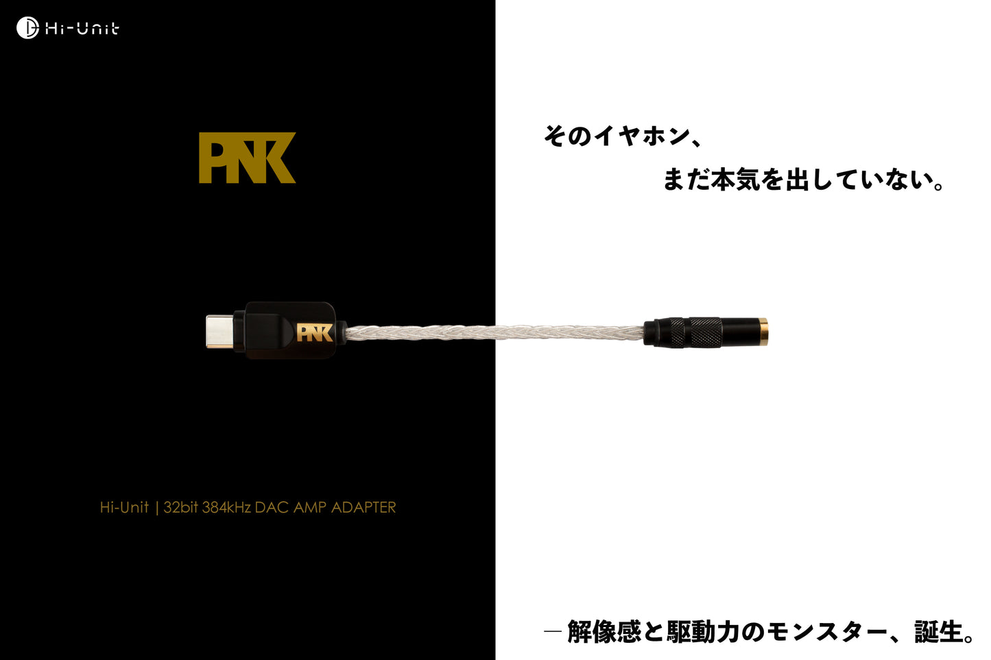 ピエール中野監修   Type-C to 3.5mm 変換アダプタ  HSE-AD03-pnk ピダック  DAC パンフレット